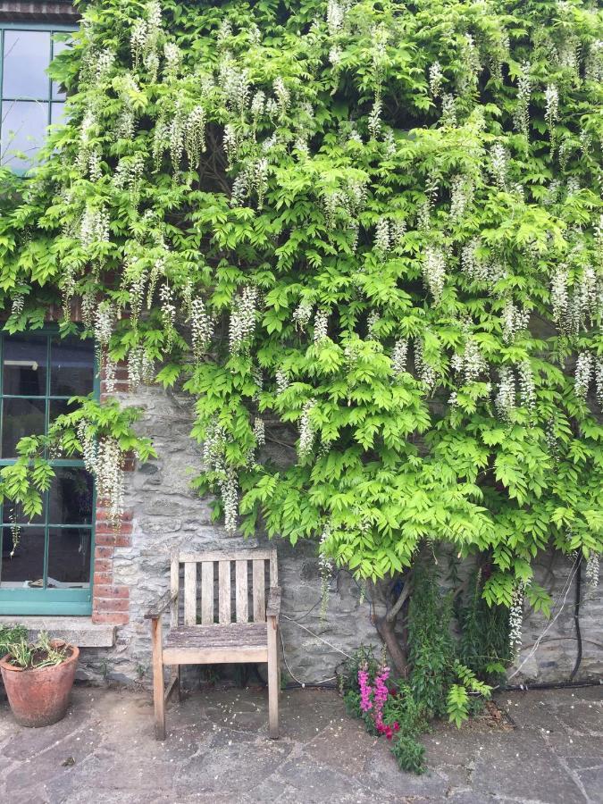 The Stable Yard House At Burtown House & Gardens Villa Athy Esterno foto