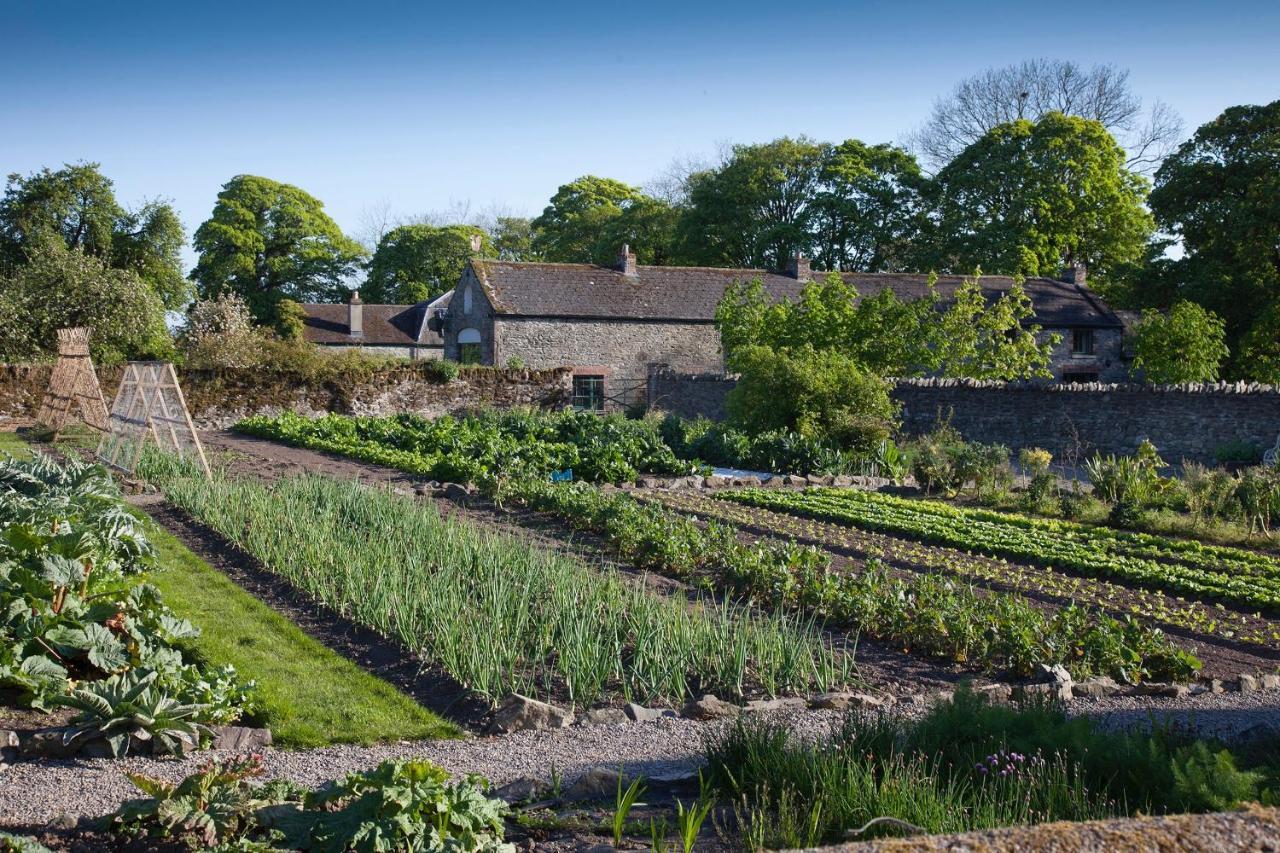 The Stable Yard House At Burtown House & Gardens Villa Athy Esterno foto